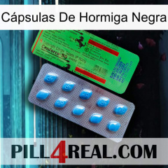 Cápsulas De Hormiga Negra new03